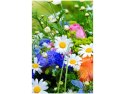 40x60cm Obraz ogród o poranku kwiaty natura       