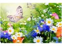 Obraz ogród o poranku kwiaty natura 