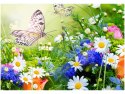 Obraz druk ogród o poranku kwiaty natura 