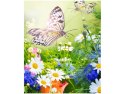 70x50cm Obraz ogród o poranku kwiaty natura    ścian  