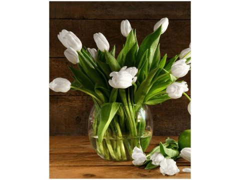 40x50cm Śnieżnobiałe tulipany obraz      