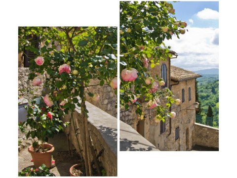 80x70cm Róże balkonie duo obraz      