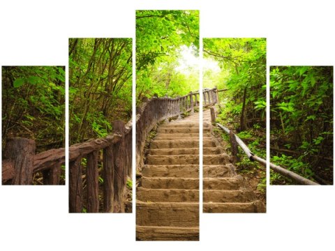 Obraz Stairs to Heaven schody drewniane drzewa trzy kolory
