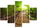 Obraz Stairs to Heaven schody drewniane drzewa trzy kolory