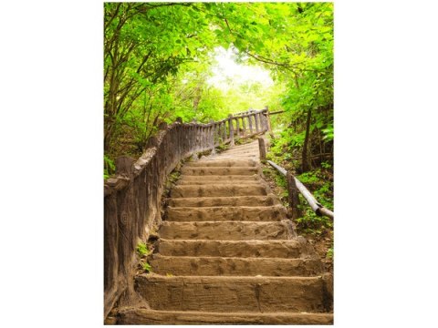 70x50cm Obraz Stairs to Heaven schody drewniane drzewa trzy kolory   ścian  