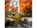 50x50cm Jesienny wodospad obraz      