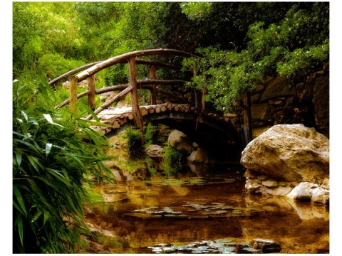 40x50cm Obraz Secret Garden most ogród Japonia kolory obraz      