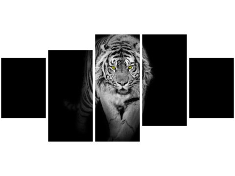 Obraz Tiger in the dark