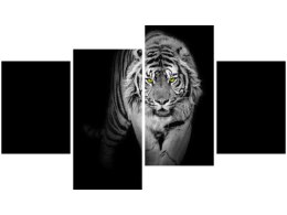 Obraz Tiger in the dark