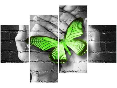 Obraz Green Butterfly motyl dłoń cegła