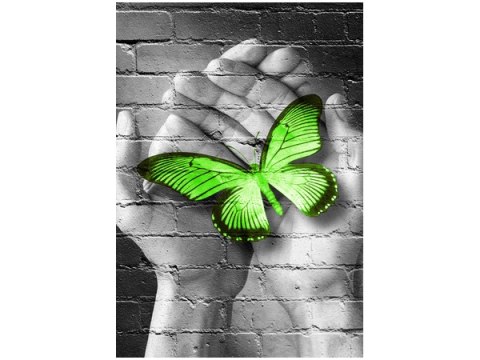Obraz Green Butterfly motyl dłoń cegła