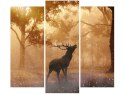 Obraz Deer in forest las o świcie