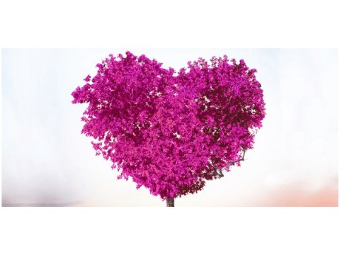 Obraz Pink tree of love 
