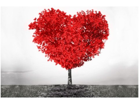 Obraz Red tree of love czerwone drzewo