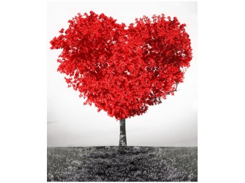 70x50cm Obraz Red tree of love czerwone drzewo   ścian  