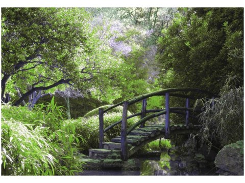 Obraz druk Secret Garden most ogród Japonia kolory