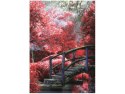 70x50cm Obraz Secret Garden most ogród Japonia kolory   ścian  