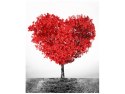 40x50cm Obraz TREE OF LOVE miłość serce przyroda obraz      