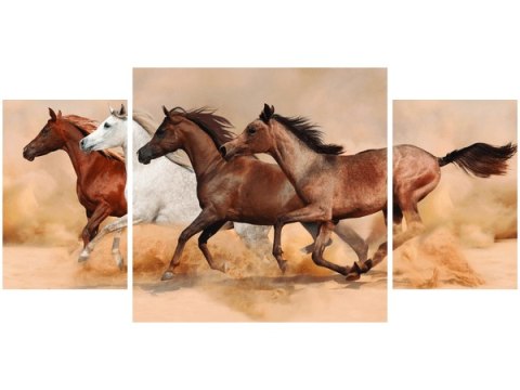 80x40cm Obraz Konie biegnące galopem trój obraz      