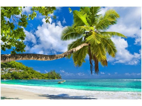 Obraz Egzotyczna tropikalna plaża Seszele