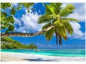 Obraz druk Egzotyczna tropikalna plaża Seszele