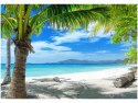 Obraz druk Tropikalna Egzotyczna Wyspa Malcapuya