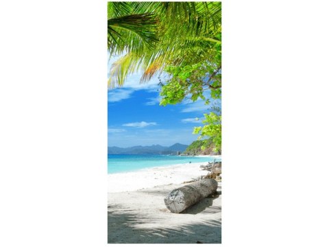 Obraz Tropikalna Egzotyczna Wyspa Malcapuya