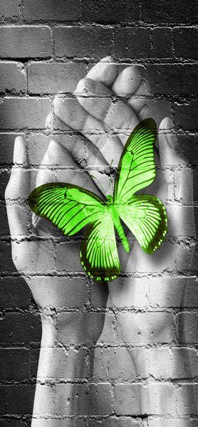 Naklejka   szybę Green Butterfly motyl dłoń cegła