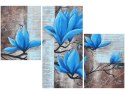 Obraz Niebieski kwiat magnolii