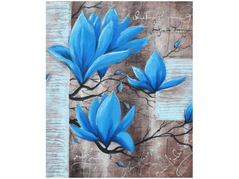 70x50cm Obraz Niebieski kwiat magnolii   ścian  