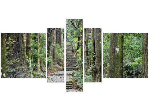Obraz Japońska ścieżka przez las