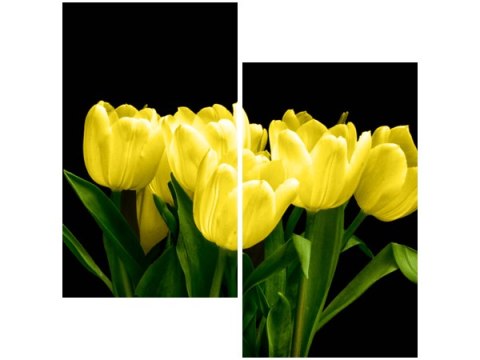 60x60cm Żółte tulipany- Mark Freeth dwu obraz   ścian  