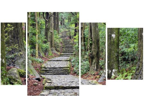 Obraz Japońska ścieżka przez las