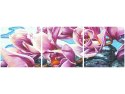 70x50cm Obraz Różowe kwiaty kamykach abstrakcja   ścian  
