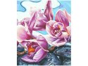 70x50cm Obraz Różowe kwiaty kamykach abstrakcja   ścian  