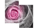 70x50cm Obraz Pink Rose   ścian  