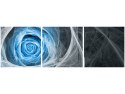 70x50cm Obraz Blue Rose    ścian  