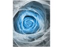 40x50cm Obraz Blue Rose  obraz      
