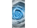 Obraz Blue Rose 