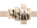 100cm 180cm Obraz 6 elem Zebra ścienny  