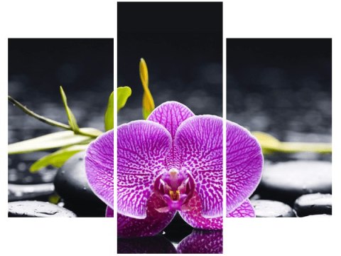 70 90cm Obraz 3 elem Orchidea ścienny płótno 