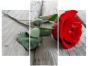 70 90cm Obraz 3 elem Róża deskach ścienny płótno 