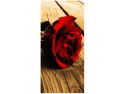 115cm 55cm Obraz ścienny Róża sepii druk rama   płótno 