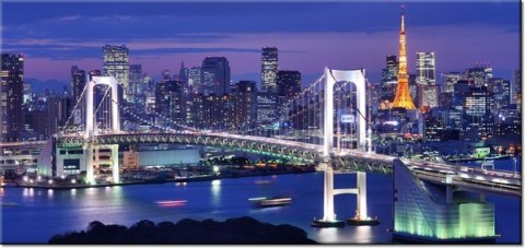 115cm 55cm Obraz ścienny Zatoka Tokijska druk rama   płótno 