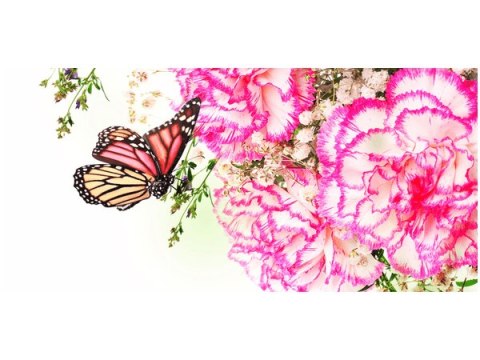 115cm 55cm Obraz ścienny Kolorowe motylki druk rama   płótno 