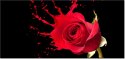 115cm 55cm Obraz ścienny Różany plusk druk rama   płótno 