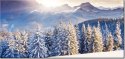 115cm 55cm Obraz ścienny Zima górach druk rama   płótno 