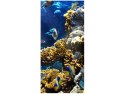 115cm 55cm Obraz ścienny Rafa koralowa druk rama   płótno 
