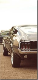 115cm 55cm Obraz ścienny Ford Mustang   55laney69 druk rama   płótno 