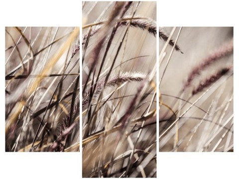 70 90cm Obraz 3 elem Buszujący trawie   Nina Matthews ścienny płótno 